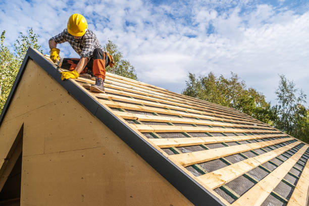 Best Storm Damage Roof Repair  in Rockford, MI