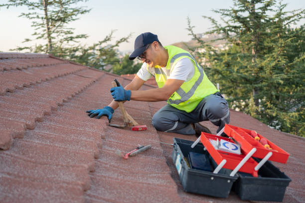 Best Roof Leak Repair  in Rockford, MI